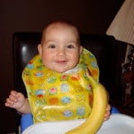 Banana Puree