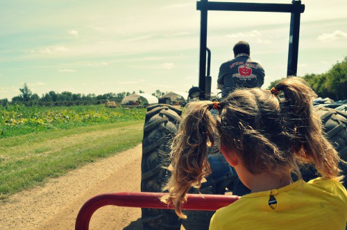 Afton Apple Hayride