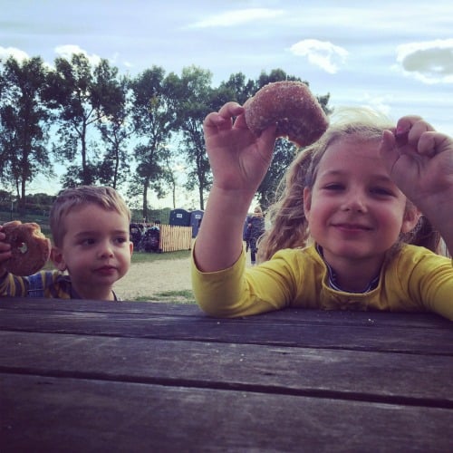 Apple Doughnuts Afton Apple