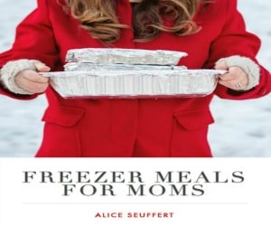 300 Freezer Meals for Moms Cover