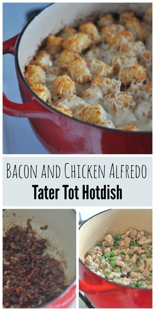 Bacon and Chicken Alfredo Tater Tot Hotdish Cheese