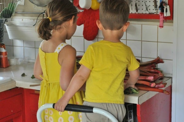 Kids and Rhubarb Summer Cooking with Kids