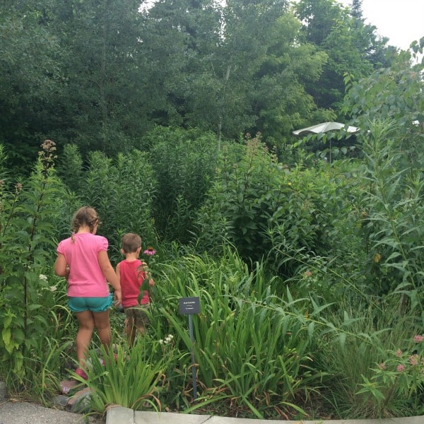 Summer Bucket List Garden