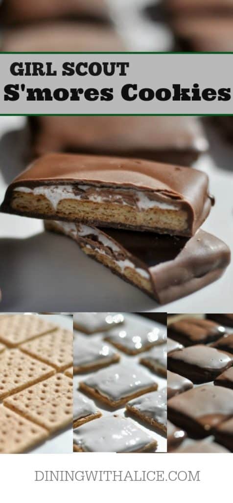 2 ingredient Tim Tam bark recipe - Kidspot