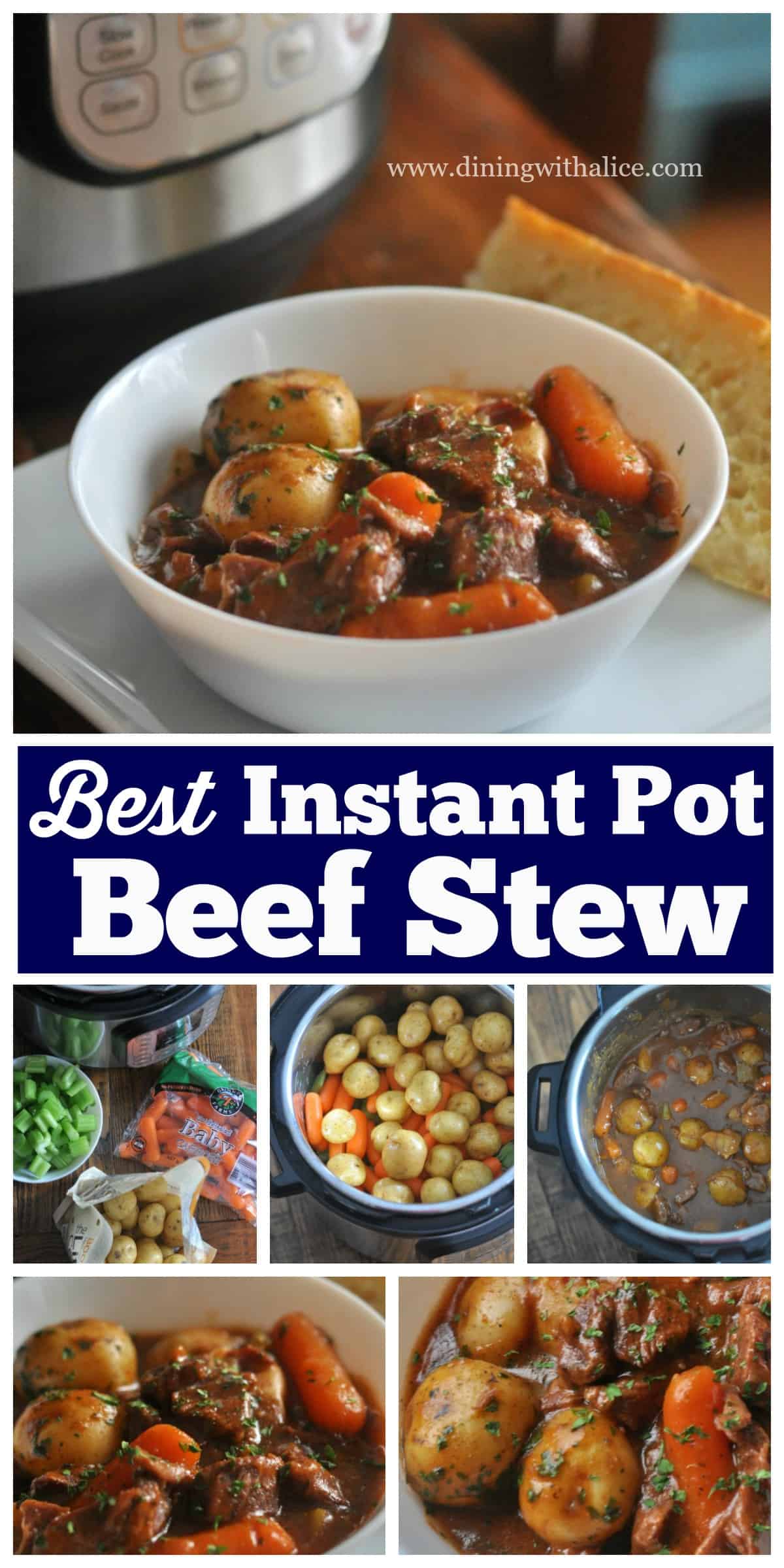 Instant Pot Best Beef Stew Recipe