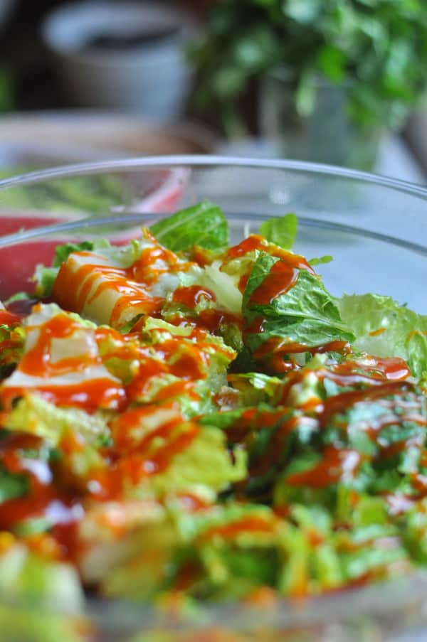 This easy Taco Salad is a quick recipe and is layered with Doritos, ground beef and your favorite taco toppings. Romaine lettuce is the base of the recipe and is shown with catalina or western dressing.