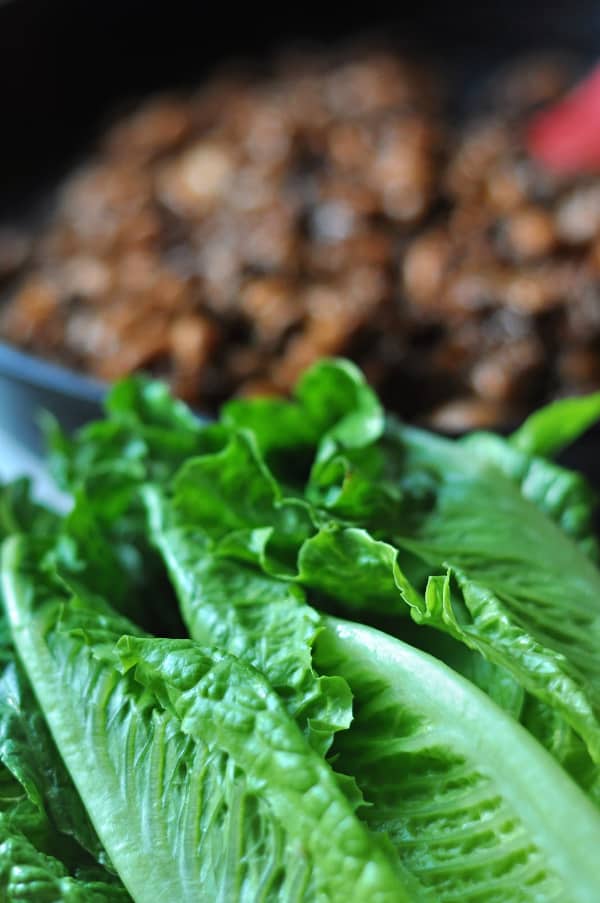 This easy Taco Salad is a quick recipe and is layered with Doritos, ground beef and your favorite taco toppings. Romaine lettuce is the base of the recipe and is shown.