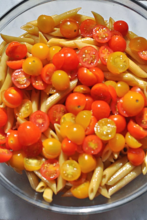 Caprese pasta salad ingredients of tomatoes and pasta