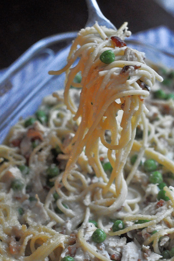 fork full of casserole Original Turkey Tetrazzini recipe with leftover turkey and a cream cheese sauce! A traditional Turkey Tetrazzini recipe great for a crowd!